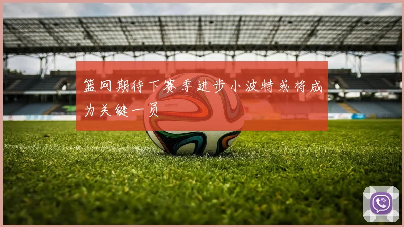 篮网期待下赛季进步小波特或将成为关键一员